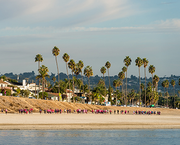 People walking along waterfront with palm trees in the background