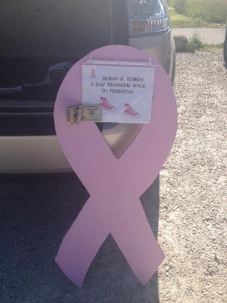 Training Walk Pink Ribbon