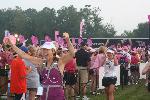 2010 Susan G. Komen Michigan 3-Day for the Cure.