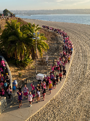 Please help me support these walkers and those fighting breast cancer