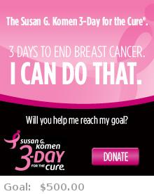 Help me reach my goal for the Susan G. Komen AChicago 3-Day for the Cure!