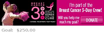 Help me reach my goal for the Michigan Breast Cancer 3-Day!