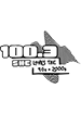 The New 100.3